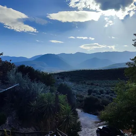 Little Up The Hills *