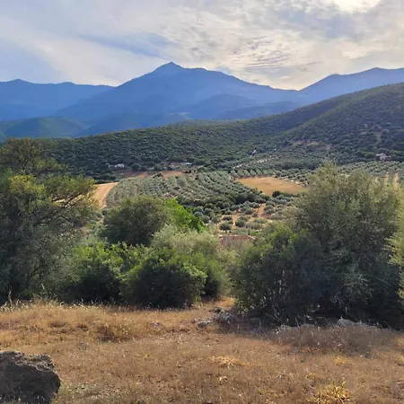 Little Up The Hills ארגוס