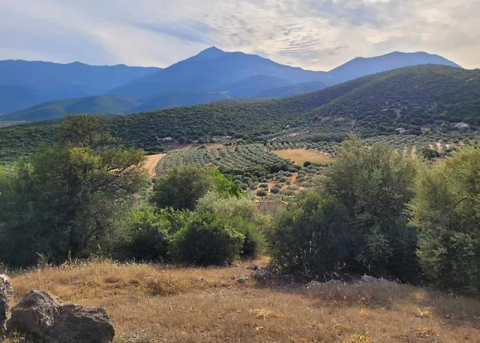 Little Up The Hills Argos